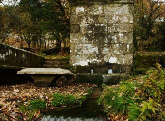 Acogedora Minicasa En Entorno Rural A 1200 M De La Catedral Apartment Santiago de Compostela Luaran gambar